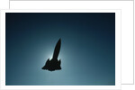 SR-71 in Flight by Anonymous