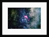 The Lagoon Nebula by Anonymous