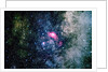 The Lagoon Nebula by Anonymous