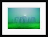 Stonehenge by Moonlight by Anonymous
