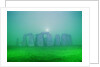 Stonehenge by Moonlight by Anonymous