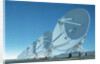 Very Large Array by Anonymous