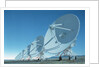 Very Large Array by Anonymous