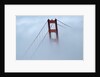Golden Gate Bridge Tower Surrounded by Fog by Anonymous