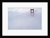 Golden Gate Bridge Tower Surrounded by Fog by Anonymous