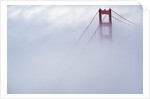 Golden Gate Bridge Tower Surrounded by Fog by Anonymous