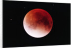 Lunar Eclipse by Anonymous