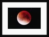 Lunar Eclipse by Anonymous