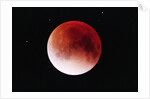Lunar Eclipse by Anonymous