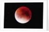 Lunar Eclipse by Anonymous