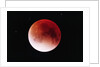 Lunar Eclipse by Anonymous