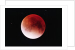 Lunar Eclipse by Anonymous