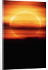 Eclipsed Sun Setting by Anonymous