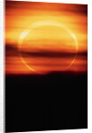 Eclipsed Sun Setting by Anonymous