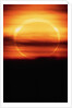 Eclipsed Sun Setting by Anonymous
