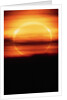 Eclipsed Sun Setting by Anonymous