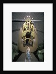 Dick Shaw Using Shane Telescope by Anonymous