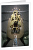 Dick Shaw Using Shane Telescope by Anonymous