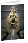 Dick Shaw Using Shane Telescope by Anonymous