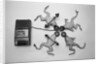 Frogs Undergoing Hypnosis by Anonymous
