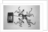 Frogs Undergoing Hypnosis by Anonymous