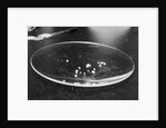 Crack Granules by Anonymous