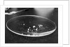 Crack Granules by Anonymous