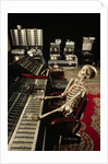 Skeleton at Mixing Boards by Anonymous