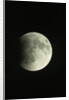 Lunar Eclipse by Anonymous