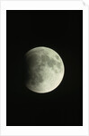 Lunar Eclipse by Anonymous