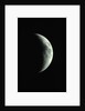 Crescent Moon by Anonymous