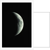 Crescent Moon by Anonymous