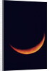 Crescent Moon Setting by Anonymous
