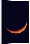 Crescent Moon Setting by Anonymous