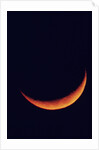 Crescent Moon Setting by Anonymous