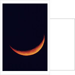 Crescent Moon Setting by Anonymous