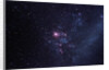 Supernova 1987A by Anonymous