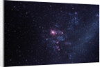 Supernova 1987A by Anonymous