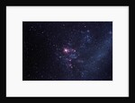Supernova 1987A by Anonymous