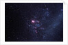Supernova 1987A by Anonymous