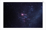 Supernova 1987A by Anonymous