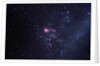 Supernova 1987A by Anonymous