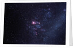 Supernova 1987A by Anonymous