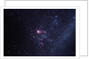 Supernova 1987A by Anonymous