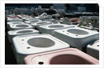 Old Sinks in Junkyard by Anonymous