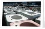 Old Sinks in Junkyard by Anonymous