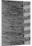 Wall Crack Caused by Earthquake by Anonymous