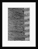 Wall Crack Caused by Earthquake by Anonymous