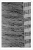 Wall Crack Caused by Earthquake by Anonymous