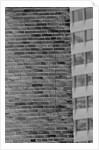 Wall Crack Caused by Earthquake by Anonymous
